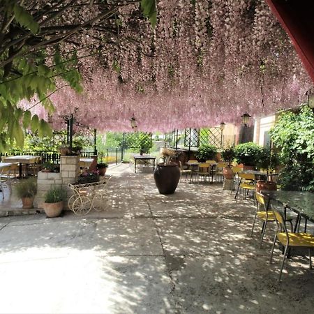 Apartment Orietta Savudrija Bagian luar foto
